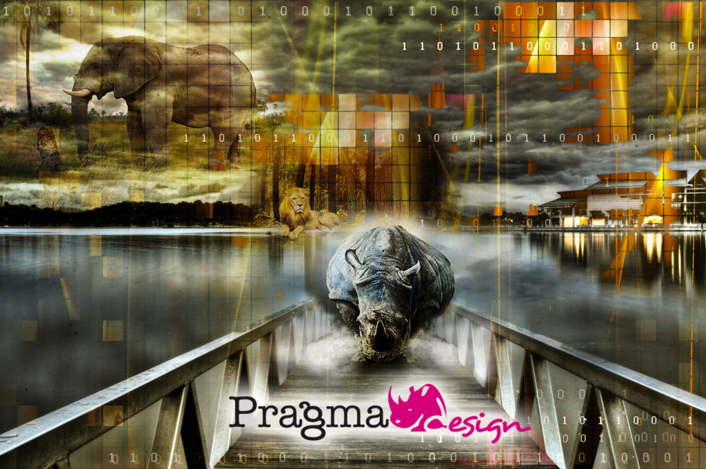 Création graphique PragmaDesign Rhino ©